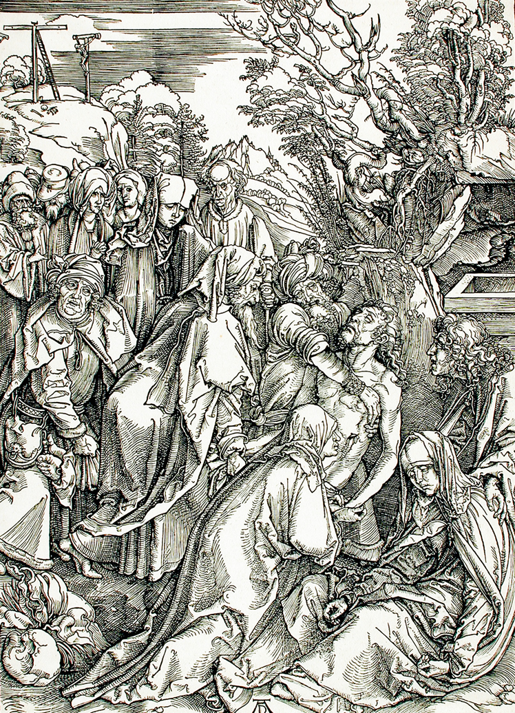   阿尔布雷特·丢勒Albrecht Dürer——素描与版画 (119)